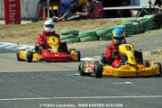 DSC_6978 copie